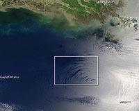 Scientists Find Black Gold Amidst Overlooked Data