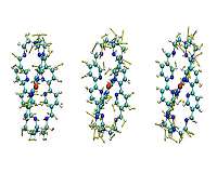 Nature provides roadmap to potential breakthroughs in solar energy technology