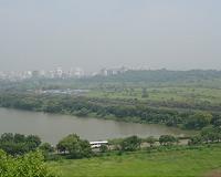 NUS study shows the causes of mangrove deforestation in Southeast Asia
