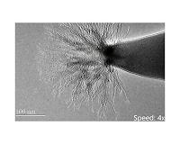 Watch a tiny space rocket work