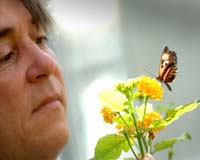 Butterfly Farming to Help Save Rain Forest