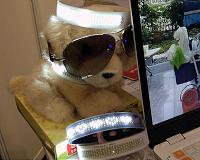 Digital Pet Collar Makes Finding Fido Easy