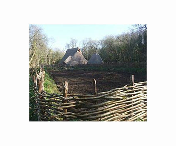 Objects suggest Europeans used standardized money 4,000 years ago