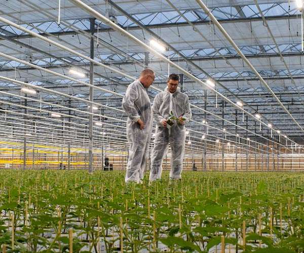Fluence announces partnership with Maryland Cannabis Leader, CULTA