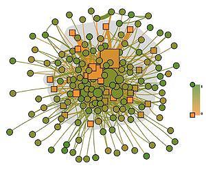 The elusive capacity of networks