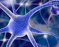 Identifying hidden minds in impaired consciousness