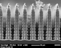 Moth's Eye Inspires Critical Component on SOFIA's Newest Instrument