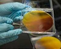 New materials could turn water into the fuel of the future