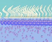 Nanosheet growth technique could revolutionize nanomaterial production