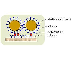 New nanobead approach could revolutionize sensor technology