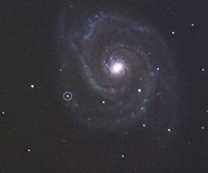 Weizmann Institute Observatory Captures Images of a New Supernova