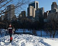 Persistent weather extremes associated with decreased storm activity