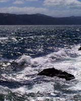 Marine Protected Areas Not Sufficient To Protect Global Biodiversity