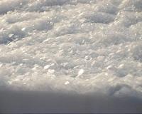 Arctic Bacteria Show Long Evolution in Toxic Mercury Resistance