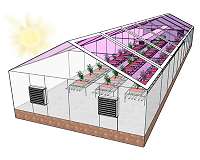 Next generation of greenhouses may be fully solar powered