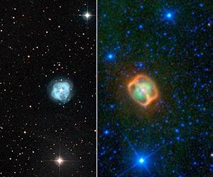 WISE Image Reveals Strange Specimen In Starry Sea