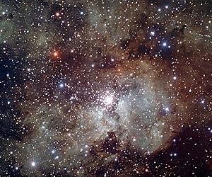 The Stars Behind The Curtain