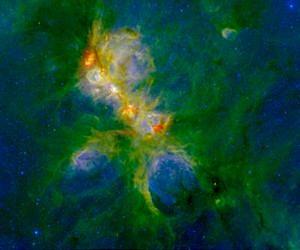 Cat's Paw Nebula 'littered' with baby stars