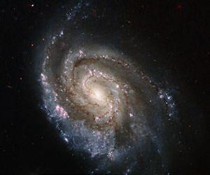 Hubble catches stellar explosions in NGC 6984