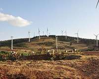 Kenya launches Africa's biggest wind farm