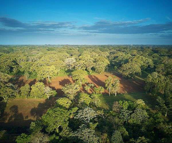 'Patrol' film exposes Nicaragua forest threat from beef industry