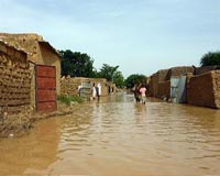 33 dead in Niger floods