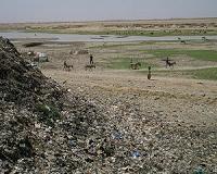 As desert encroaches, Niger turns to natural gas