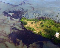 Niger Delta Avengers bombs another pipeline