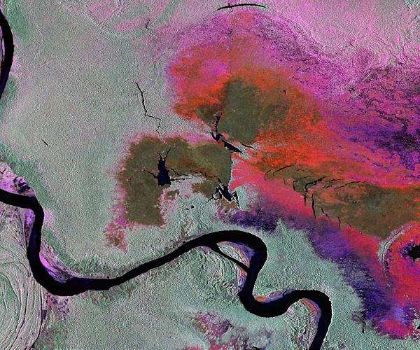 NASA-ISRO radar mission to provide dynamic view of forests, wetlands
