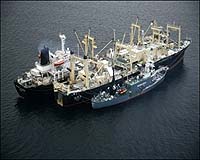 Stricken Japanese Whaler Prepared To Leave Antarctica