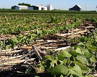 China plans to hit US soybeans, planes as trade war looms