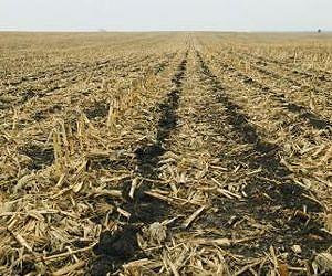 New protocols measuring soil organic carbon sequestration