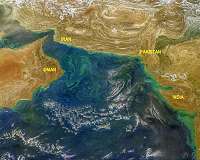 Shrinking snowcaps fuel harmful algal blooms in Arabian Sea