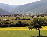 Enel in 14.4 bln euro decarbonisation push