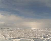 UN's Ban to see climate change effects on North Pole trip