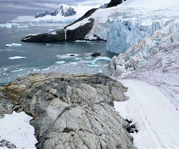 WWF urges end to deadlock on new Antarctic reserves