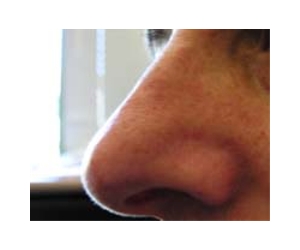 Helping the nose know