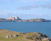 EDF buys land near British nuclear sites: report