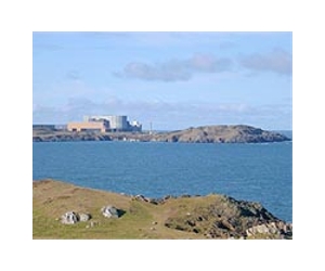 Wales nuke plant loses key foreign bidders