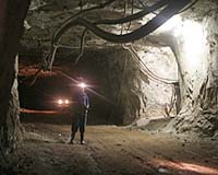 Niger picks France's Areva to operate giant uranium mine: company