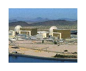 Studying life in the shadow of nuclear plants