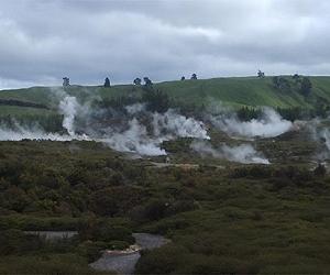 Early Settlers Rapidly Transformed New Zealand Forests With Fire