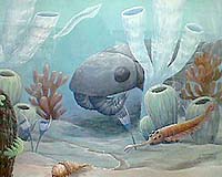Prehistoric Global Warming May Have Contributed To Fossil Preservation