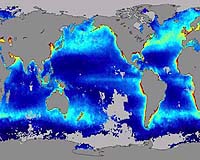Ancient Climate Studies Suggest Earth On Fast Track To Global Warming