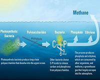 Unraveling the mysterious source of methane gas in the ocean