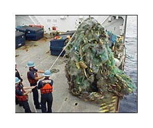 In North Atlantic, researchers find a sea of garbage