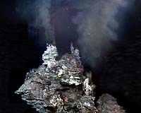 A Deep Sea Hydrocarbon Factory
