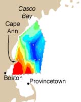 Scientists Monitor Largest Red Tide Outbreak in 12 Years in Massachusetts Bay