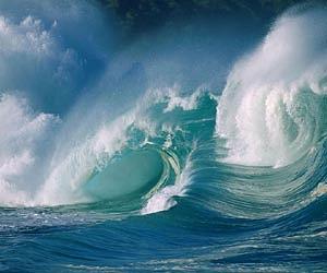 New dataset provides 40 year record of CO2 accumulation in the surface ocean