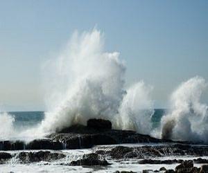 New panel to scrutinise ocean governance